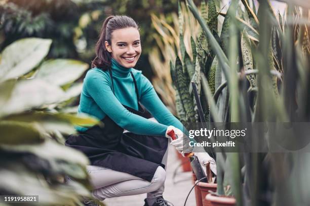 庭の中心に熱帯植物を植える庭師 - sansevieria ストックフォトと画像