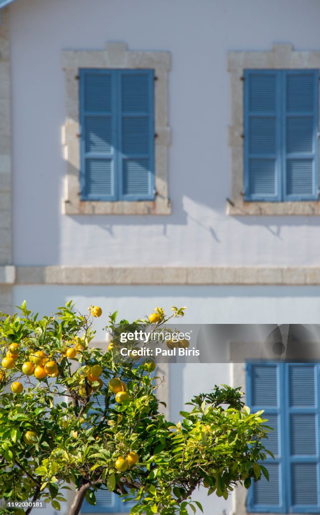Lemon tree in front of an old house wall with window shutters, Larnaca , Cyprus