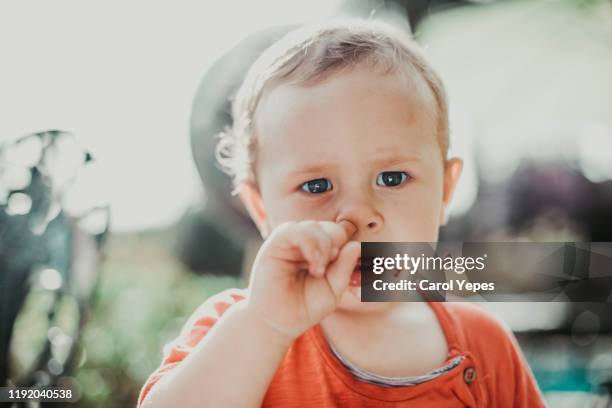 portrait of little boy picking nose - picarse la nariz fotografías e imágenes de stock