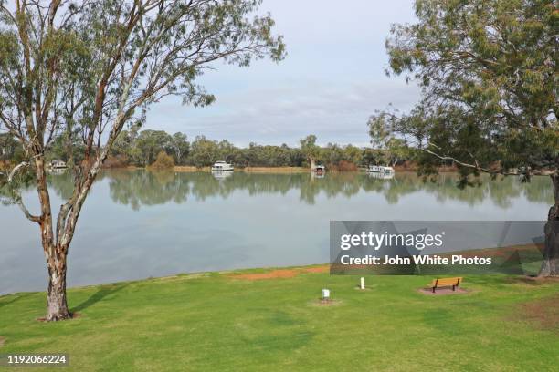 aerial images of renmark on the banks of the murray river. south australia. - murray river stock pictures, royalty-free photos & images