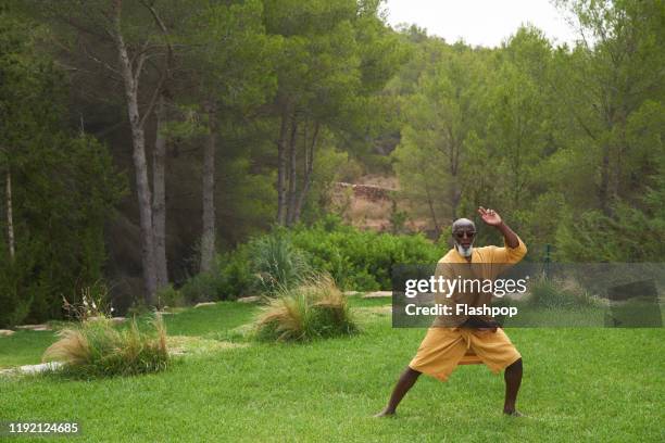 mature man practises martial arts. - martial arts man stock pictures, royalty-free photos & images