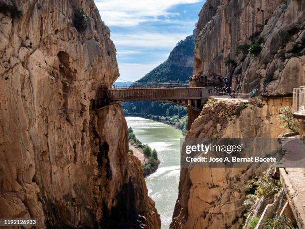 walkway and wooden bridges pinned along the steep walls of a narrow gorge in the nature. - caminito del rey málaga province stock pictures, royalty-free photos & images