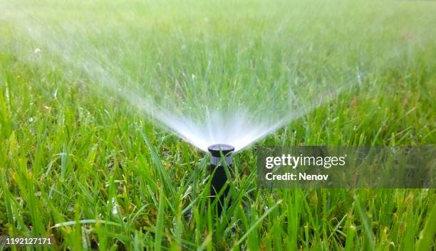 irrigation sprinkler - garden watering system. - sprinkler system fotografías e imágenes de stock