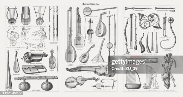 ilustrações de stock, clip art, desenhos animados e ícones de musical instruments, wood engravings, published in 1900 - harpa