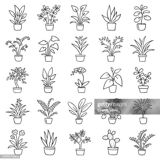 stockillustraties, clipart, cartoons en iconen met huis planten - black and white plant