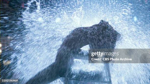 The movie "Flashdance", directed by Adrian Lyne. Seen here, Jennifer Beals as Alexandra 'Alex' Owens, dancer at a bar by night. Initial theatrical...