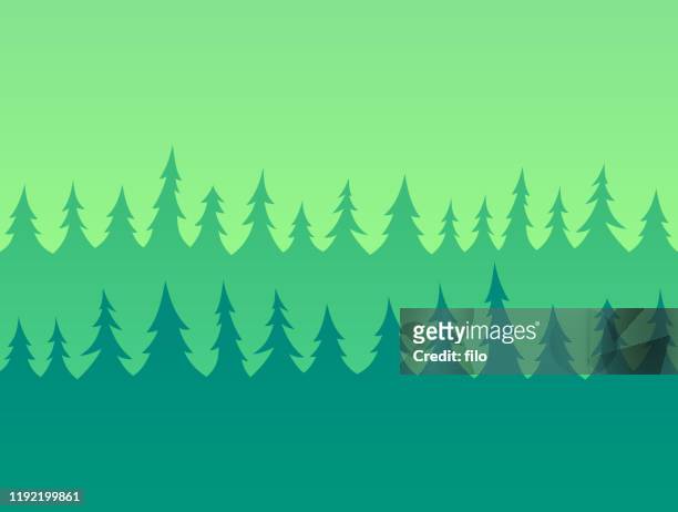 ilustrações, clipart, desenhos animados e ícones de fundo sem emenda da árvore de pinho da floresta - treelined