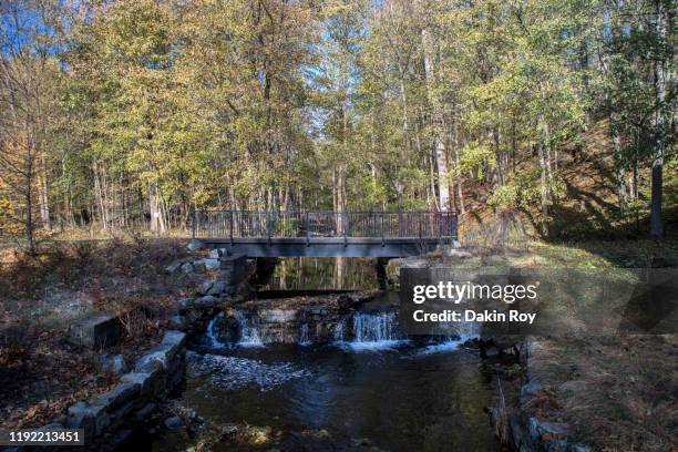 Cold Spring Forest Cold Spring Bridge Photos and Premium High Res Pictures - Getty Images