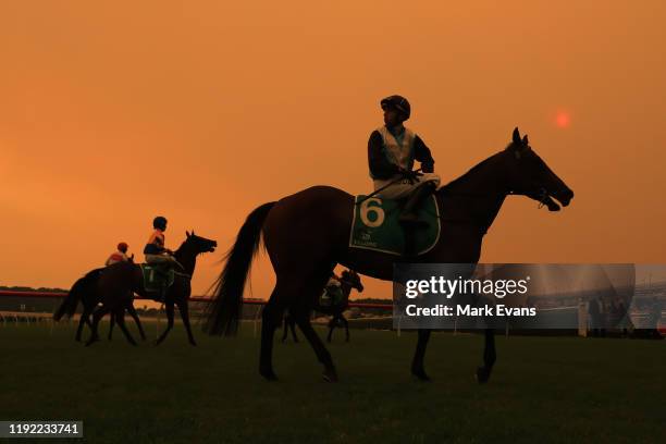 Brenton Avdulla on Bandersnatch returns to scale after winning race 6 as smoke from the Sydney bushfires turns the sky orange during Sydney Twilight...