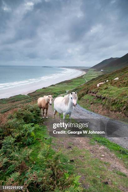 the climb - rhossili bay stock pictures, royalty-free photos & images