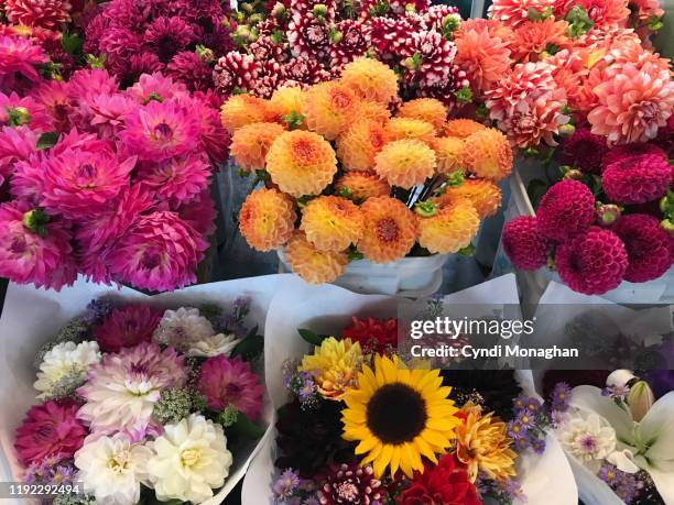 Multipe Floral 9,666 Multiple Flower Arrangements Stock Photos, High-Res Pictures, and ...