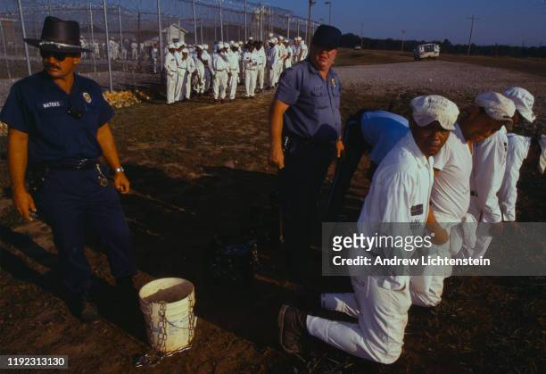 Convicts at the Limestone Correctional facility are placed back onto the chain gang when they leave the prison grounds for their daily labor as road...