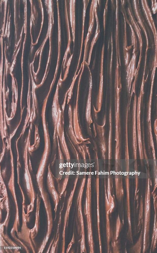 Close-up of tree-bark effect on a chocolate Yule log