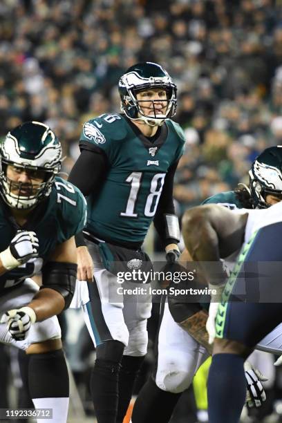 Philadelphia Eagles quarterback Josh McCown approaches the line of scrimmage during the Playoff game between the Seattle Seahawks and the...