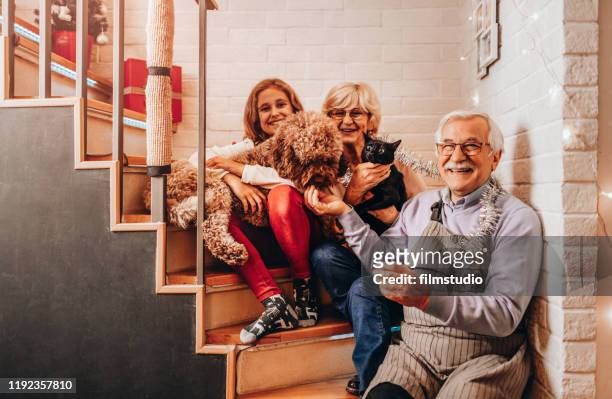 familie portret - family tree stockfoto's en -beelden