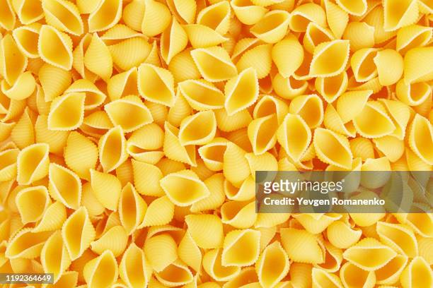 conchiglie italian pasta as a background - conchiglie stockfoto's en -beelden