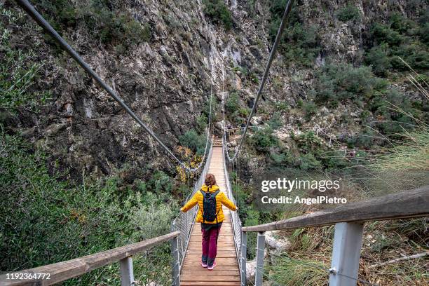 hanging bridge over turia river - cruzar puente fotografías e imágenes de stock