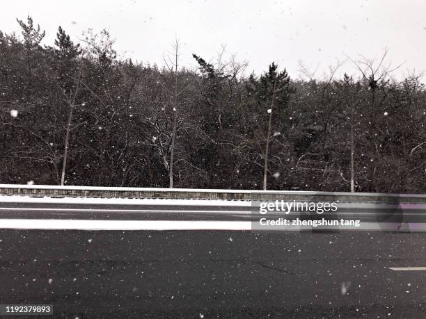 snowing view of winter road and evergreen trees - snow falls in wider area in japan imagens e fotografias de stock