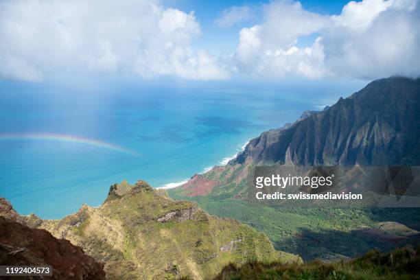 從夏威夷考艾島山谷頂部欣賞美景 - hawaiian waterfalls 個照片及圖片檔