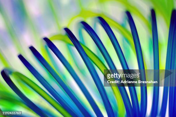 all coiled up - resilience concept stock pictures, royalty-free photos & images