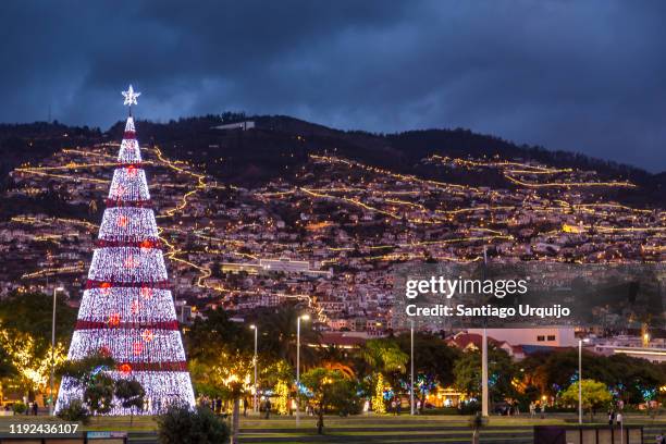 skyline of funchal at night with a christmas tree - madeira christmas stock pictures, royalty-free photos & images