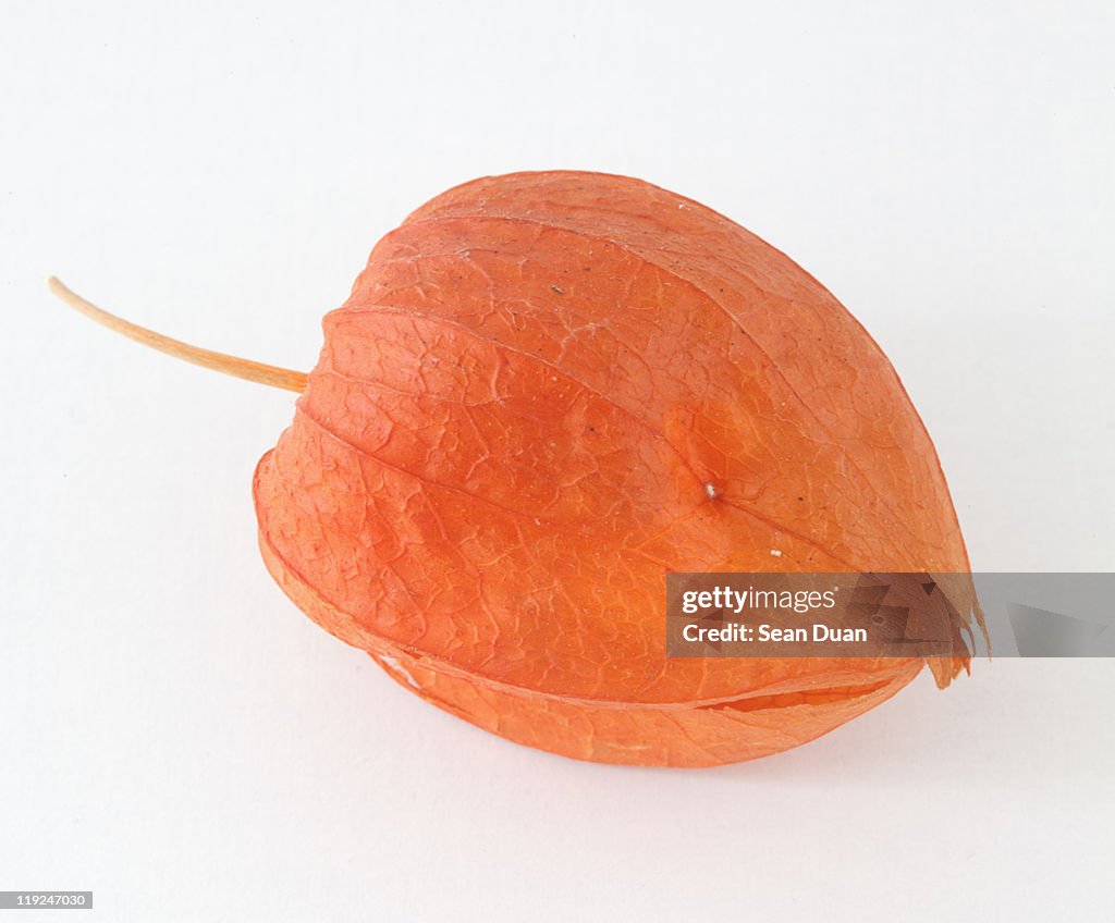 Seedpod