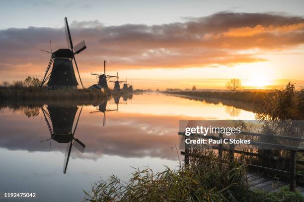 kinderdijk - kinderdijk stock pictures, royalty-free photos & images