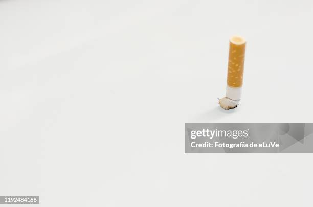 extreme close-up of a cigarette - crushed leaves stock pictures, royalty-free photos & images