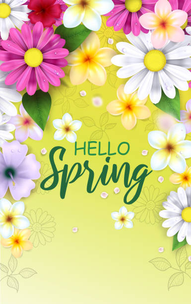 spring flowers illustration - spring background stock illustrations