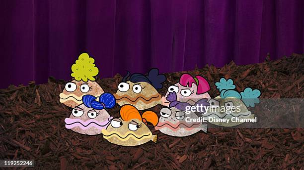 Clamantha Shell 30 Clamantha Stock Photos, High-Res Pictures, and Images - Getty Images