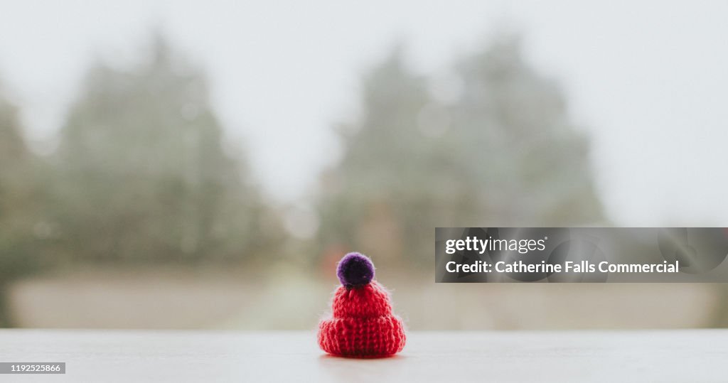Bobble Hat