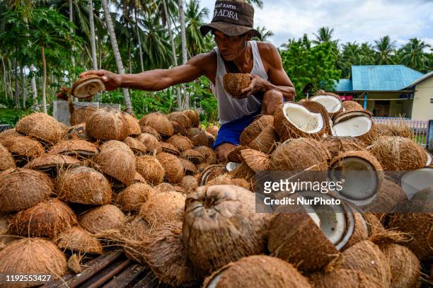 Farmer arranges his coconut for copra in Poi Village, Sigi Regency, Central Sulawesi, Indonesia on January 8, 2020. Coconut farmers in the region...