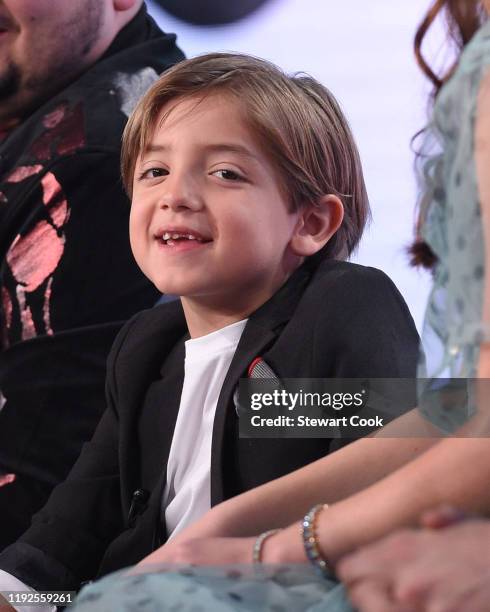 The cast and producer of ABC's "Modern Family" address the press at the ABC Winter TCA 2020, at The Langham Huntington Hotel in Pasadena, CA. JEREMY...