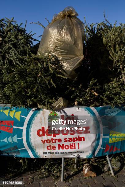 Saint-Ouen, France, 6 January 2020. One of the collection points for Christmas trees in the town of Saint-Ouen. The trees collected are turned into...