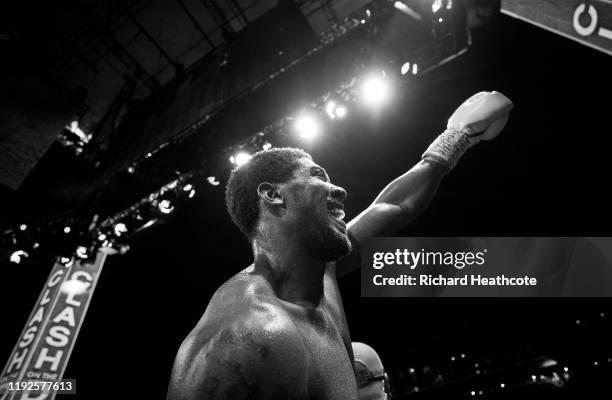 Anthony Joshua celebrates victory over Andy Ruiz Jr during the IBF, WBA, WBO & IBO World Heavyweight Title Fight between Andy Ruiz Jr and Anthony...