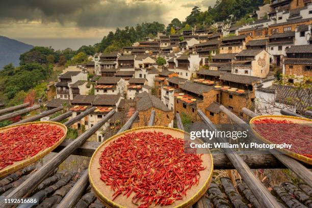 a traditional mountain village with harvested peppers drying outside the buildings. - province de jiangxi photos et images de collection