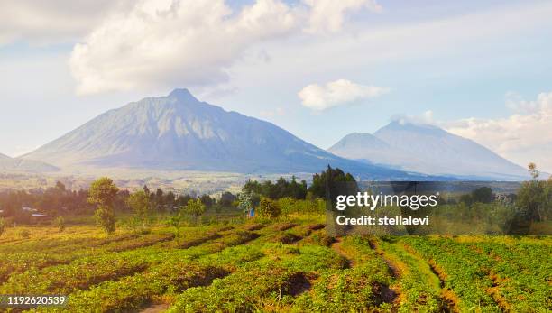 virunga mountains and volcanoes in rwanda - rwanda stock pictures, royalty-free photos & images