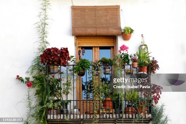 flower pots and plants on a balcony - balkon pflanzen stock-fotos und bilder