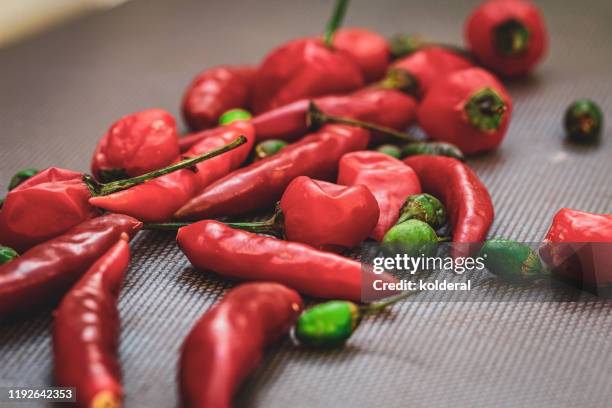 close-up of red hot chili pepper - molho de pimenta imagens e fotografias de stock