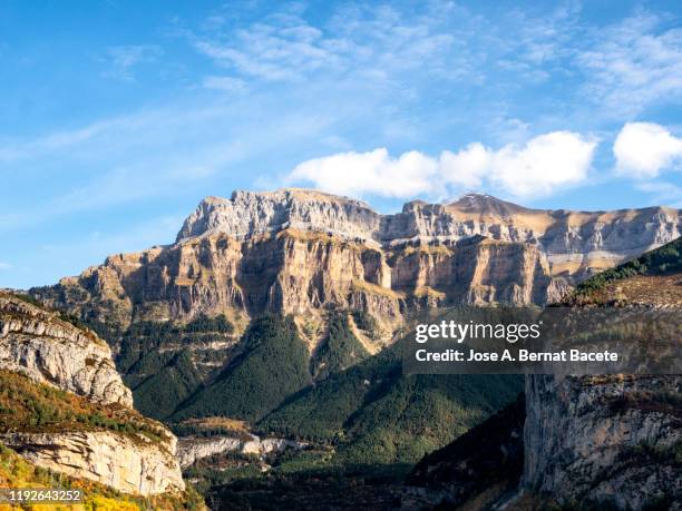 high mountain landscape with a forest of trees in autumn. ordesa national park, spain. - parco nazionale di ordesa foto e immagini stock