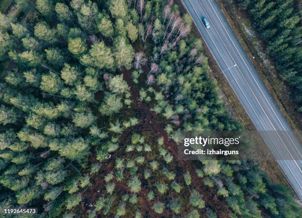 mooie luchtfoto van de snelweg en viaduct met groene bossen in finland in de buurt van helsinki - de natuurlijke wereld stockfoto's en -beelden