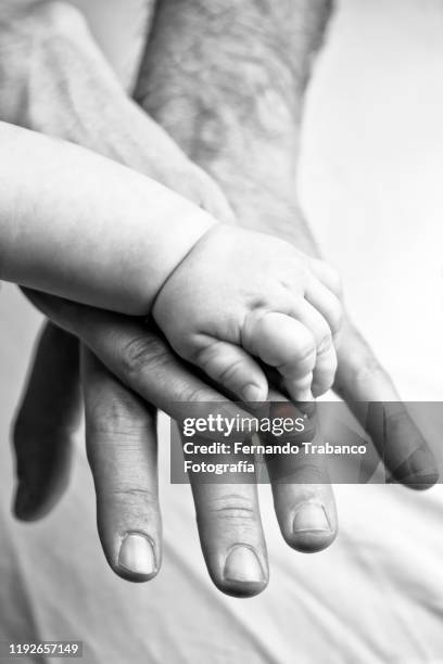 family with one child - marriage equality stock pictures, royalty-free photos & images