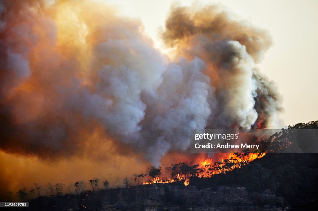 Forest fire, bushfire with flames and sun illuminated smoke clouds at dusk on mountain ridge, Blue Mountains, Australia
