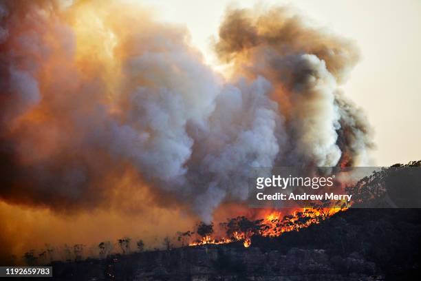 forest fire, bushfire with flames and sun illuminated smoke clouds at dusk on mountain ridge, blue mountains, australia - agostamiento fotografías e imágenes de stock