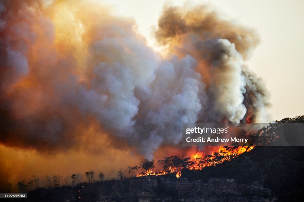 Forest fire, bushfire with flames and sun illuminated smoke clouds at dusk on mountain ridge, Blue Mountains, Australia