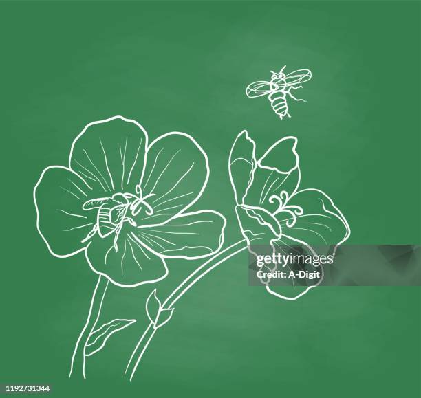 bees doing pollination chalkboard - bees pollinating stock illustrations