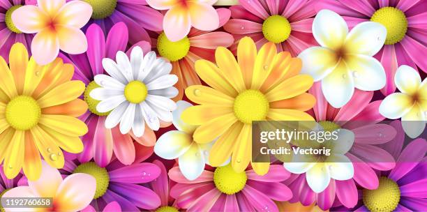 illustrations, cliparts, dessins animés et icônes de illustration de fleurs de source - fleur en papier