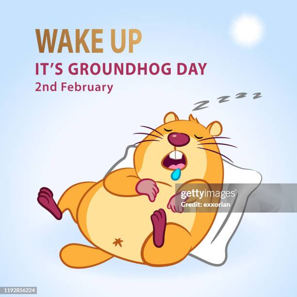 ilustraciones, imágenes clip art, dibujos animados e iconos de stock de es el día de la marmota - funny groundhog