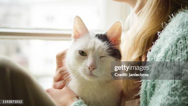 cat winks and blinks - cat eye woman stock pictures, royalty-free photos & images