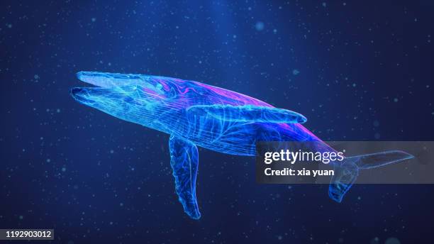 luminous blue whale diving in calm, blue ocean - augmented reality animal stock-fotos und bilder